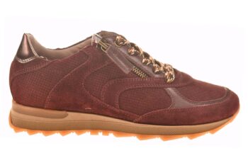 DL Sport sneaker met rits bordeaux suede